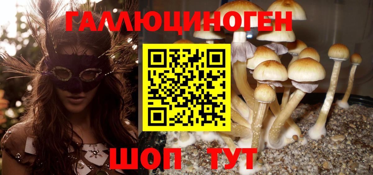 Псилоцибиновые грибы MAGIC MUSHROOMS Карачаевск